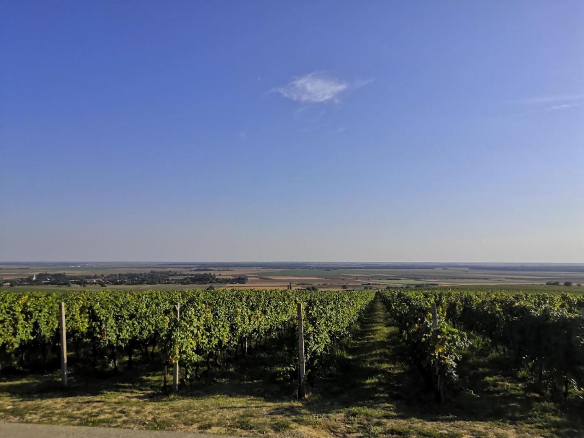 Kuca Za Odmor Kiss-Karanac,Baranja Villa Eksteriør billede
