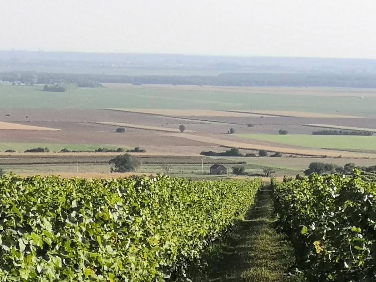 Kuca Za Odmor Kiss-Karanac,Baranja Villa Eksteriør billede