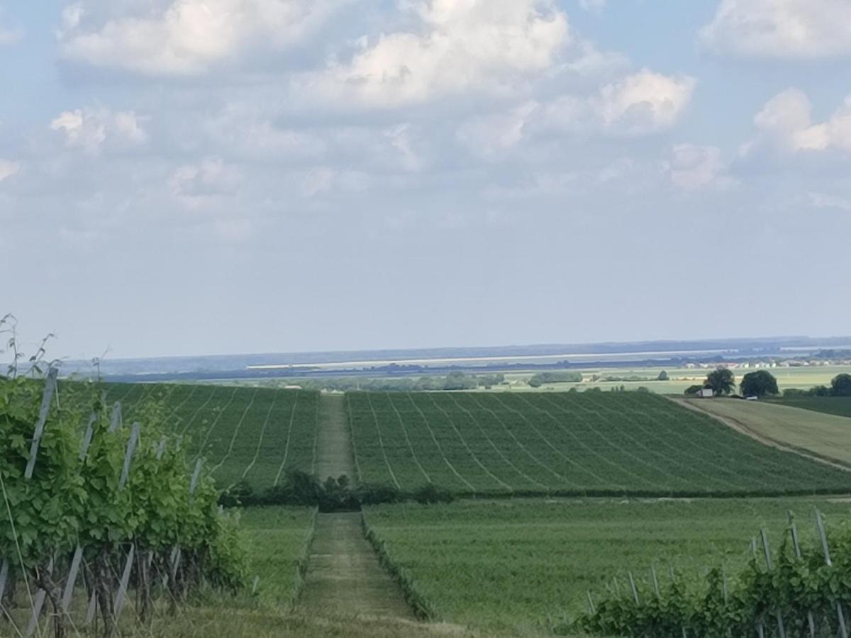 Kuca Za Odmor Kiss-Karanac,Baranja Villa Eksteriør billede