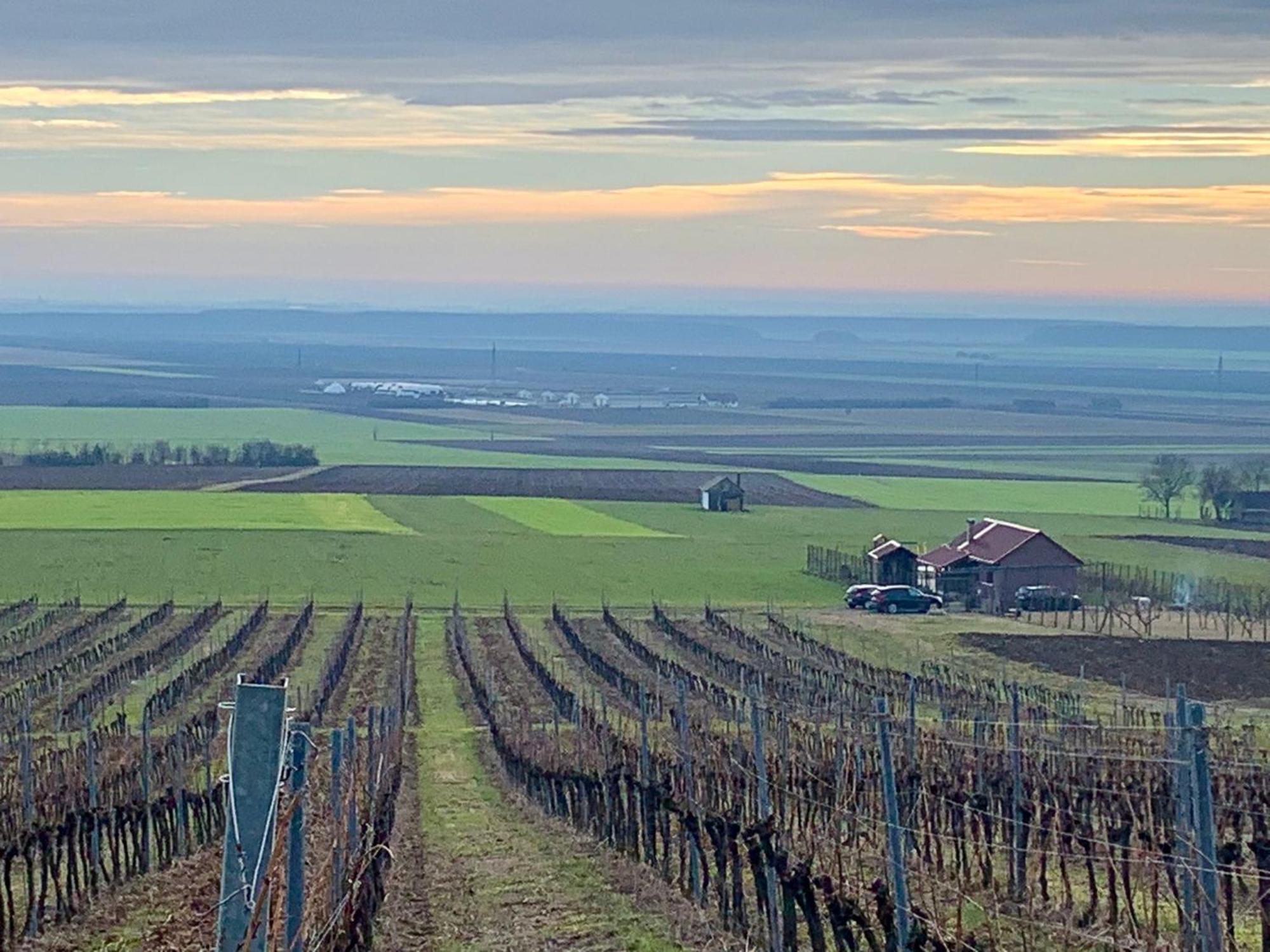 Kuca Za Odmor Kiss-Karanac,Baranja Villa Eksteriør billede